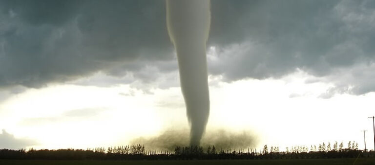 Huit acteurs supplémentaires complètent le casting de la suite de « Twister »