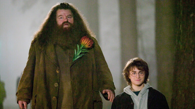 Dans quelle maison vivait Hagrid avant Harry Potter ?