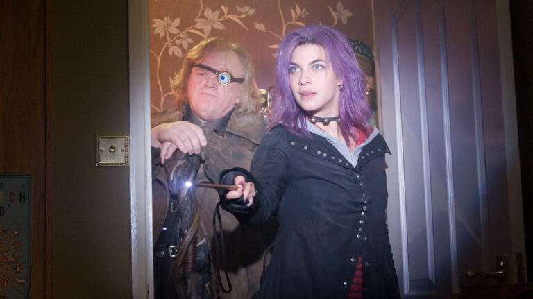 Qu'est-ce qu'un Auror exactement dans l'univers Harry Potter ?