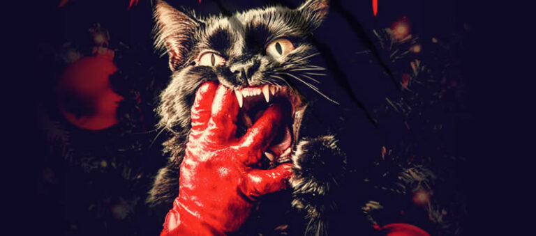 Chevy Chase, Bruce Dern à Topline 'Catnip'