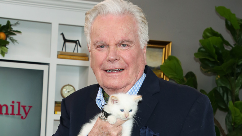 Robert Wagner Hold Kitten