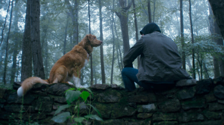5 meilleurs films d'horreur avec presque aucun dialogue