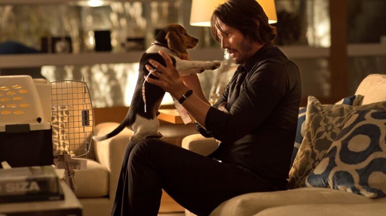Qu'est-il arrivé au chiot de John Wick ?