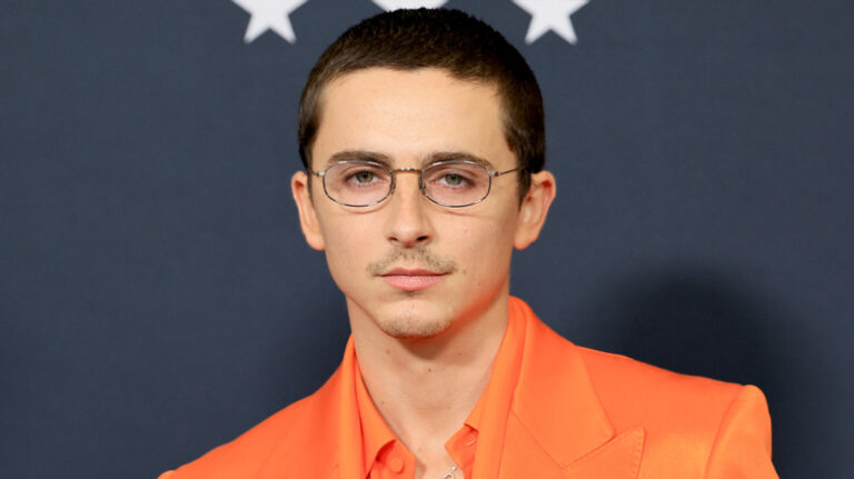 Timothée Chalamet a joué dans l'une des meilleures (et des plus sous-estimées) comédies romantiques de Netflix