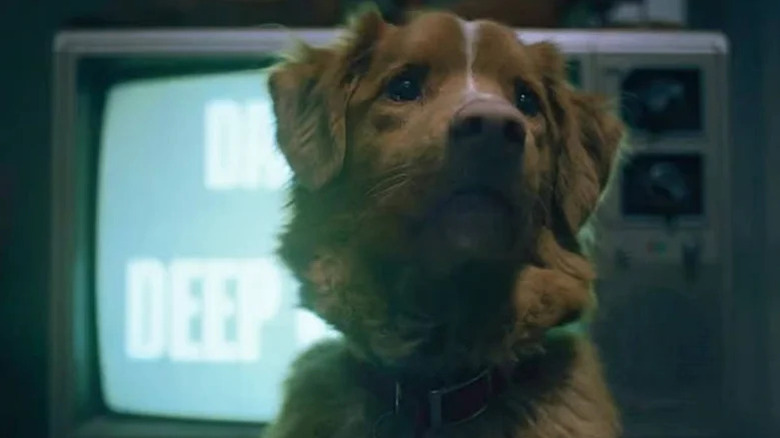 Indy devant la télé dans Good Boy