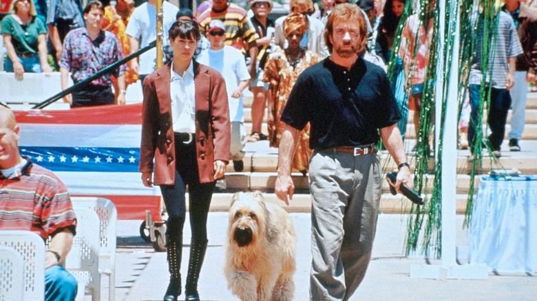 Savannah, Jake et Reno arpentent les rues de Californie en 
