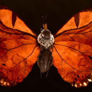 Hoppers de Pixar et le projet Hail Mary partagent une apparition vocale