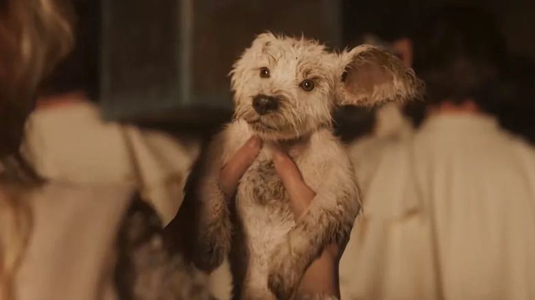 Kara tient bébé Krypto dans Supergirl