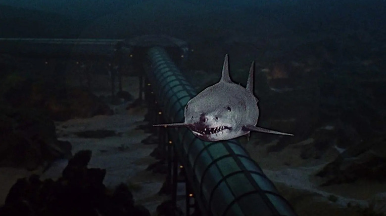 Un requin nageant avec un effet 3D