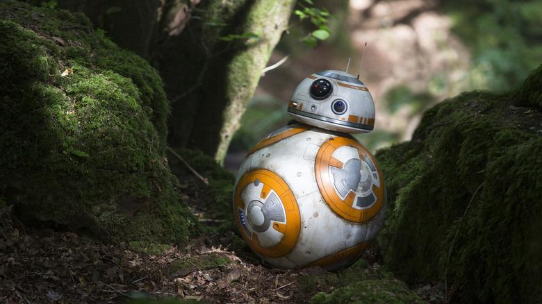 BB-8 assis sur un sol moussu dans Star Wars : Épisode VII – Le Réveil de la Force