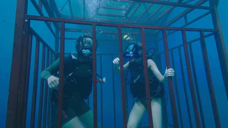Deux nageurs dans une cage sous l'eau dans 47 mètres de profondeur (2017)
