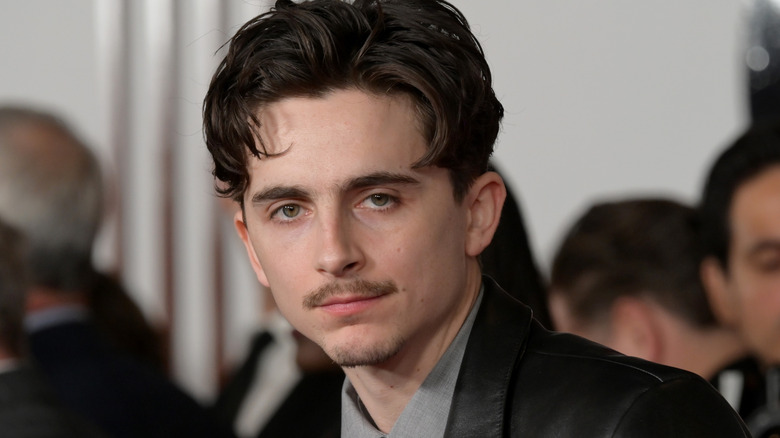 Timothée Chalamet porte une veste en cuir noire