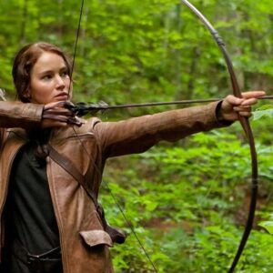 Les 5 films de Hunger Games classés
