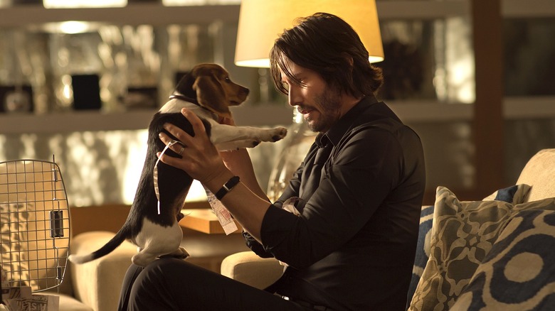 John tenant le chiot Daisy dans John Wick (2014)