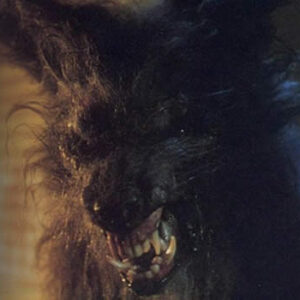 StudioCanal va relancer « The Howling » et « Escape from New York »