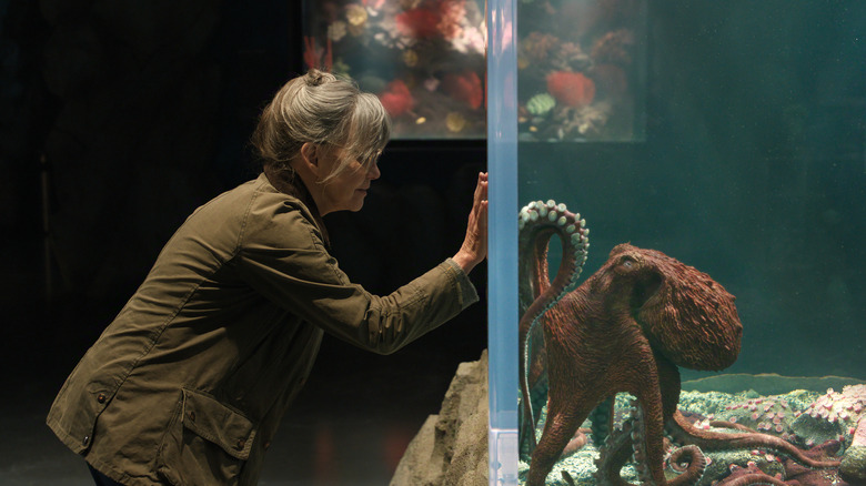 Tova et Marcellus se touchent la main à travers la vitre de l'aquarium dans Remarkably Bright Creatures (2026)