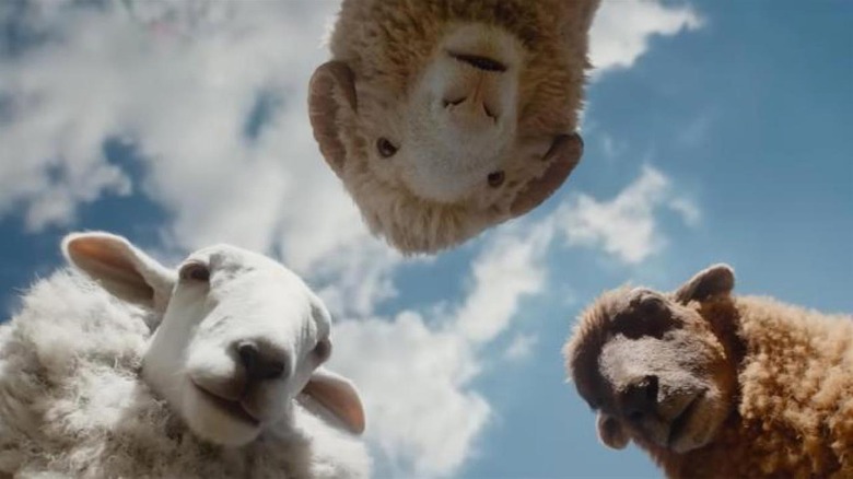 Lily, Mopple et Cloud regardent en bas dans The Sheep Detectives