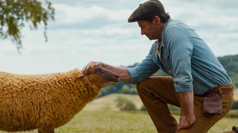 George caresse Lily dans Les Détectives des Moutons