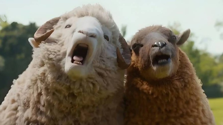Lily et Mopple crient dans The Sheep Detectives