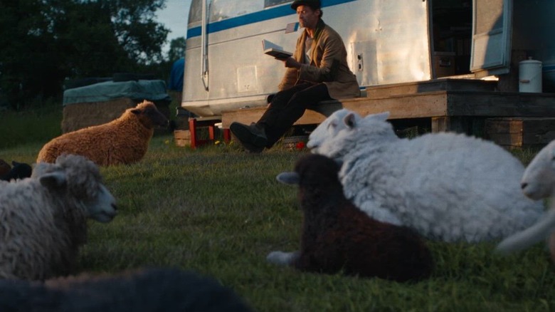 George lisant à ses moutons dans The Sheep Detectives