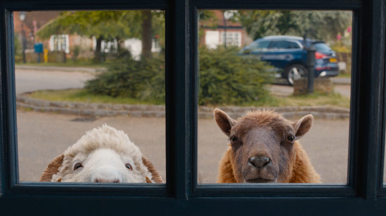 Lily et Mopple regardant par une fenêtre dans The Sheep Detectives