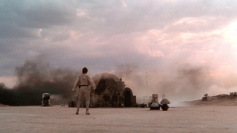 Luke Skywalker debout devant sa maison incendiée dans Star Wars