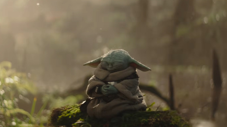 Grogu méditant dans une forêt dans The Mandalorian and Grogu (2026)