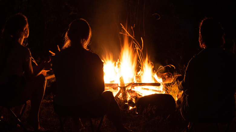 Jeunes assis autour d’un feu de camp