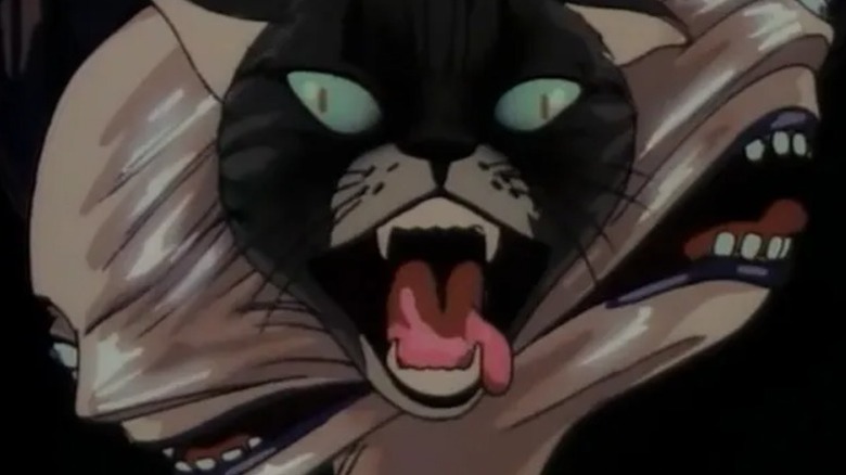 Dorothy Van Faarrah infectée par la bactérie dans Lily CAT (1987)