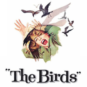 Sarah Snook dirigera la série limitée « The Birds »