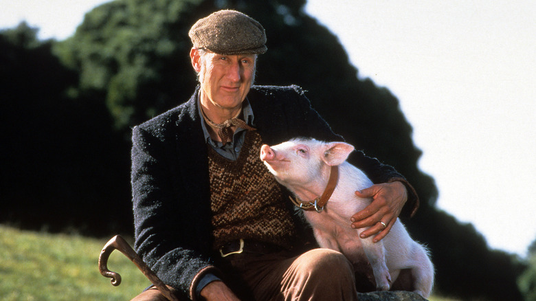 Bébé assis avec son propriétaire dans Babe (1995)