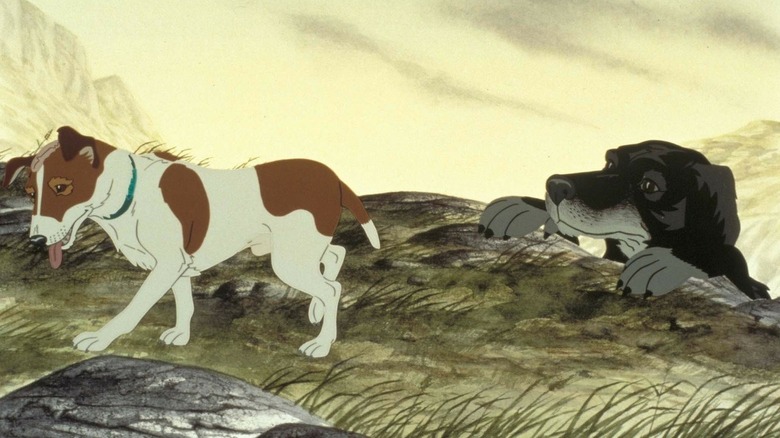 Snitter et Rowf font leurs repères dans The Plague Dogs (1982)
