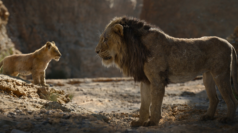 Simba en tant que petit recevant des instructions de Scar dans Le Roi Lion (2019)