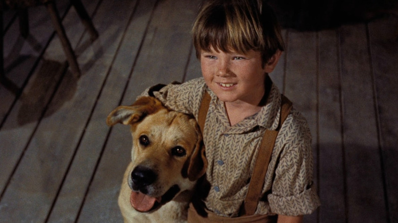 Arliss avec Old Yeller dans Old Yeller