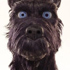 5 meilleurs films de chiens jamais réalisés, classés