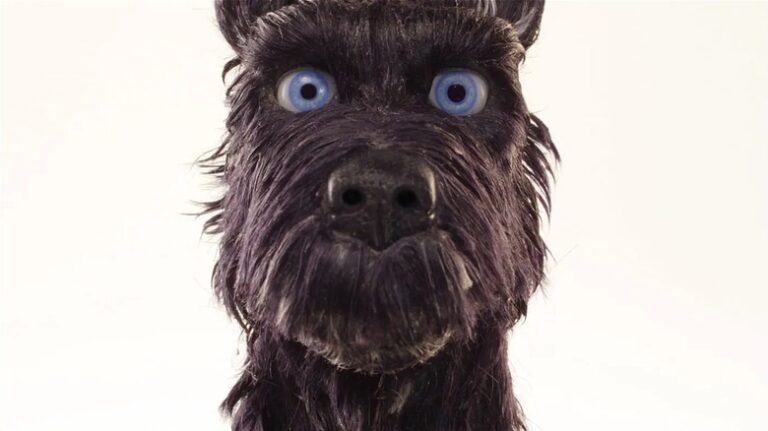 5 meilleurs films de chiens jamais réalisés, classés