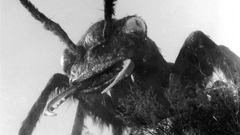 Fourmi géante qui a l'air effrayante dedans ! (1954)
