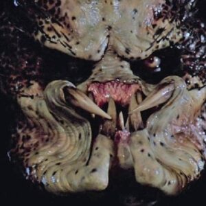 Le camée majeur du prédateur que nous n’avons jamais vu dans Predator 2