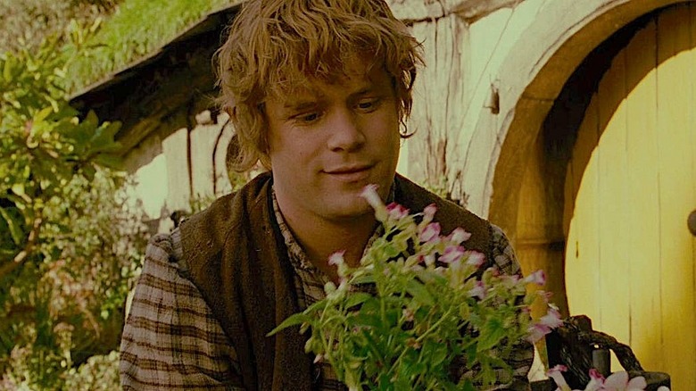 Sam regarde des fleurs
