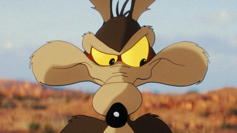 Wile E. Coyote a l'air sournois dans Coyote contre Acme