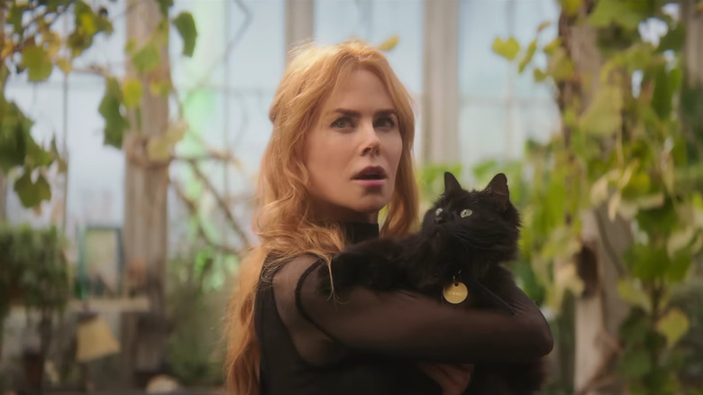 Gillian Owens tenant un chat dans Practical Magic 2