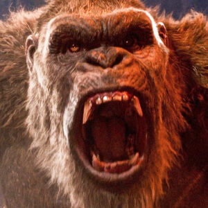 Meilleures et pires scènes de Godzilla Vs. Kong