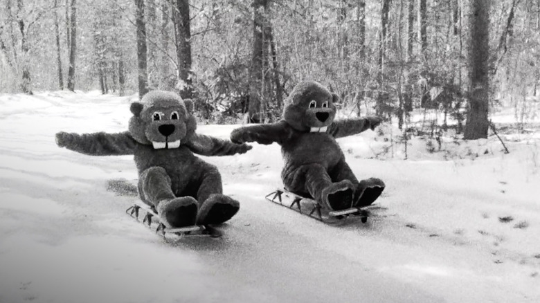 Deux castors faisant de la luge dans Des centaines de castors (2024)