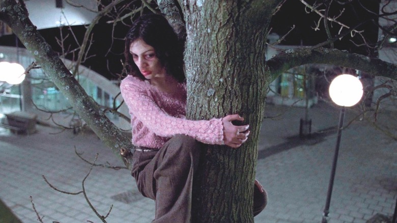 Eli se cache dans un arbre 