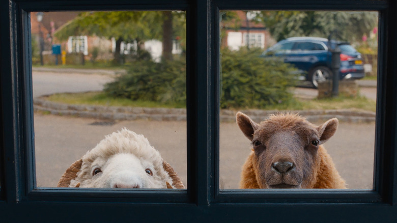 Mopple et Lily regardant par une fenêtre dans The Sheep Detectives