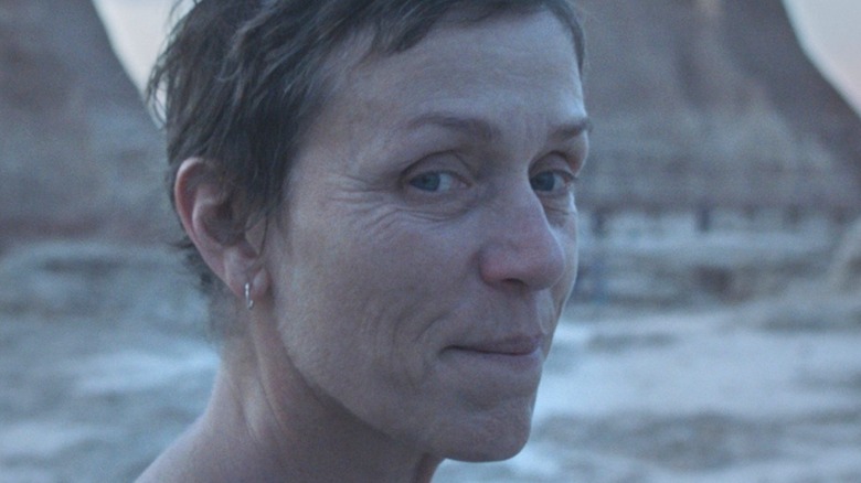 Fougère Nomadland Frances McDormand