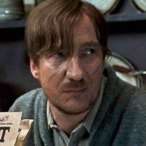 David Thewlis de Harry Potter a auditionné à l'origine pour un pire professeur de Poudlard