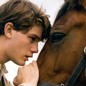 War Horse est-il basé sur une histoire vraie ?